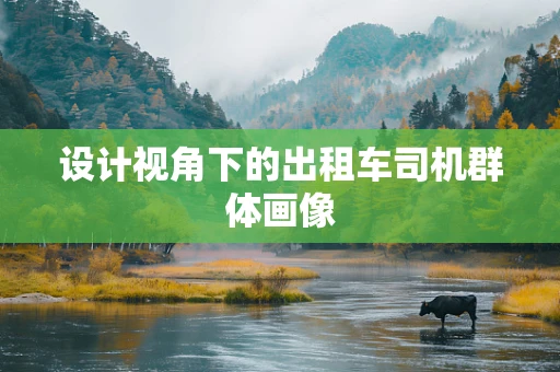 设计视角下的出租车司机群体画像