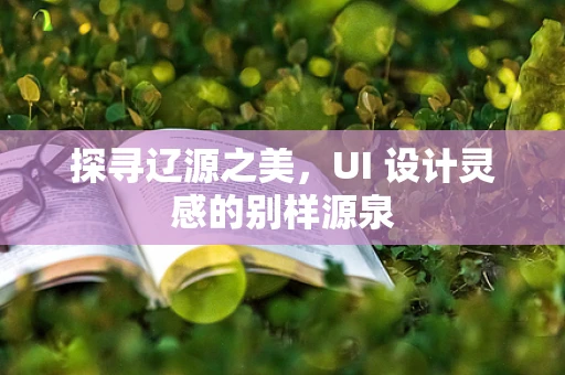 探寻辽源之美，UI 设计灵感的别样源泉