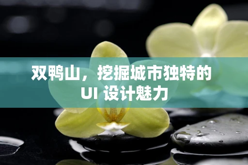 双鸭山，挖掘城市独特的 UI 设计魅力
