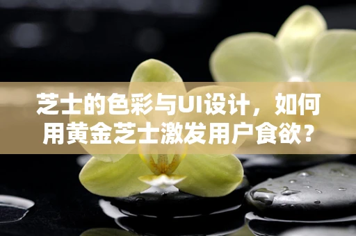 芝士的色彩与UI设计，如何用黄金芝士激发用户食欲？