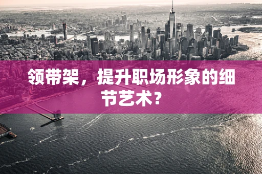 领带架，提升职场形象的细节艺术？