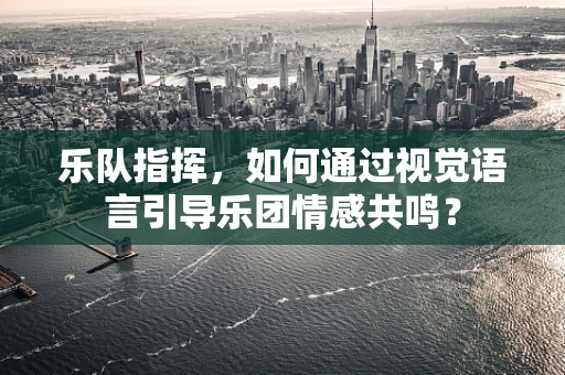 乐队指挥，如何通过视觉语言引导乐团情感共鸣？