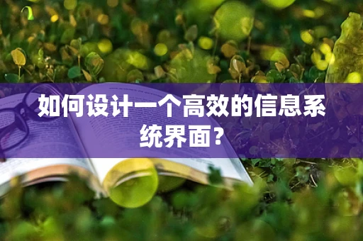 如何设计一个高效的信息系统界面？