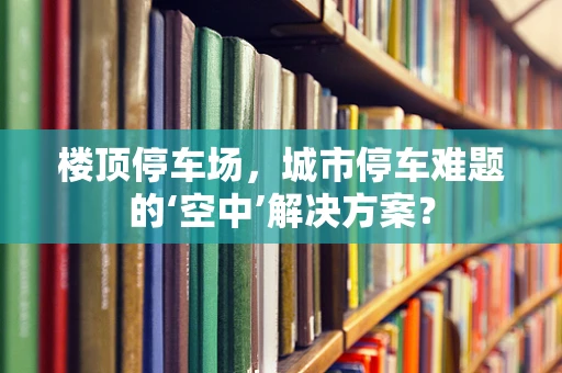 楼顶停车场，城市停车难题的‘空中’解决方案？
