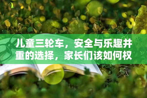 儿童三轮车，安全与乐趣并重的选择，家长们该如何权衡？