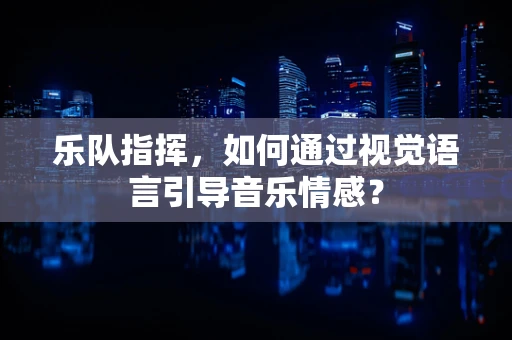 乐队指挥，如何通过视觉语言引导音乐情感？