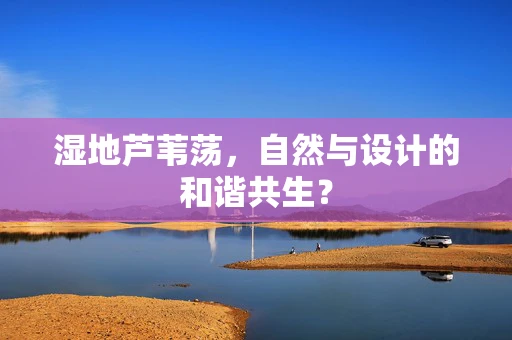 湿地芦苇荡，自然与设计的和谐共生？