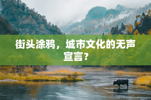 街头涂鸦，城市文化的无声宣言？