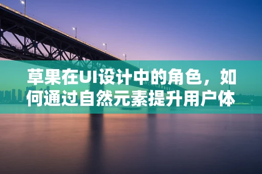 草果在UI设计中的角色，如何通过自然元素提升用户体验？