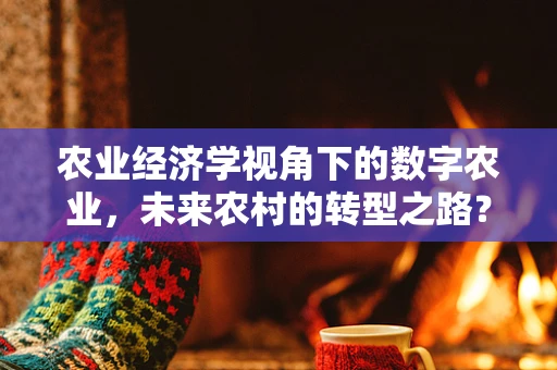 农业经济学视角下的数字农业，未来农村的转型之路？
