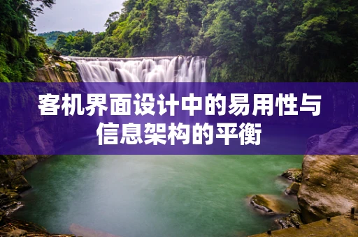 客机界面设计中的易用性与信息架构的平衡
