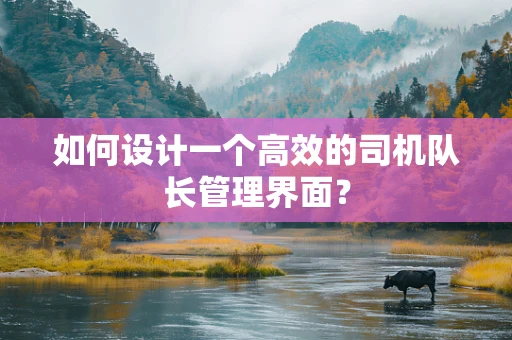 如何设计一个高效的司机队长管理界面？