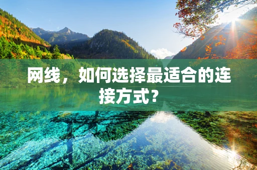 网线，如何选择最适合的连接方式？