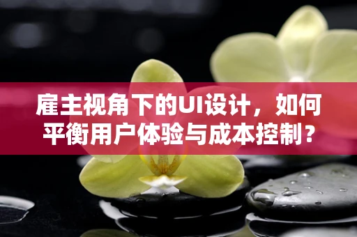 雇主视角下的UI设计，如何平衡用户体验与成本控制？