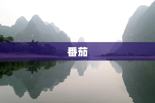 番茄