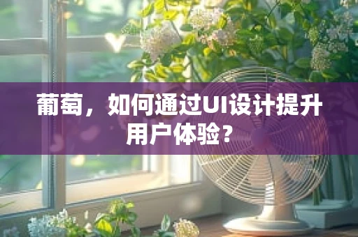 葡萄，如何通过UI设计提升用户体验？