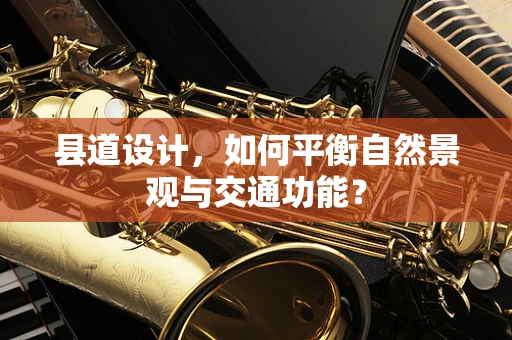 县道设计，如何平衡自然景观与交通功能？