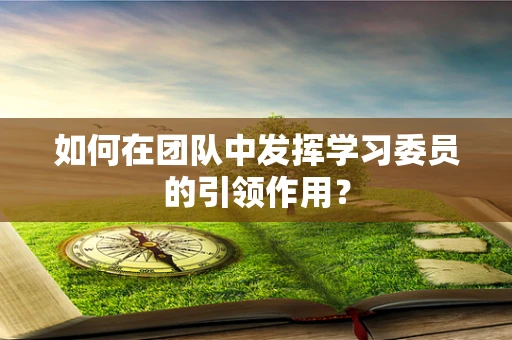 如何在团队中发挥学习委员的引领作用？