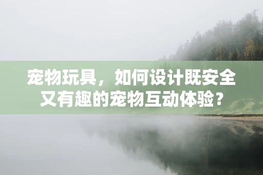 宠物玩具，如何设计既安全又有趣的宠物互动体验？