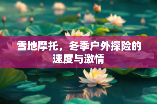 雪地摩托，冬季户外探险的速度与激情