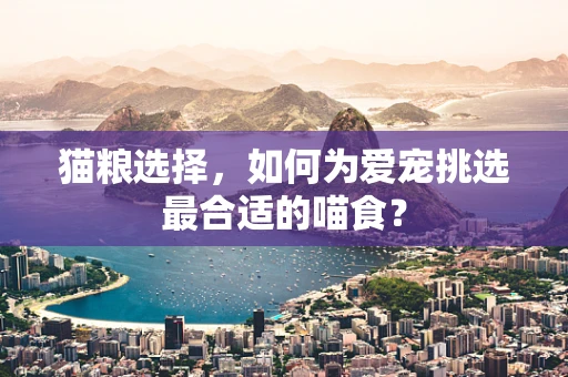 猫粮选择，如何为爱宠挑选最合适的喵食？