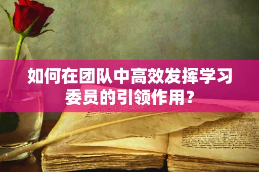 如何在团队中高效发挥学习委员的引领作用？