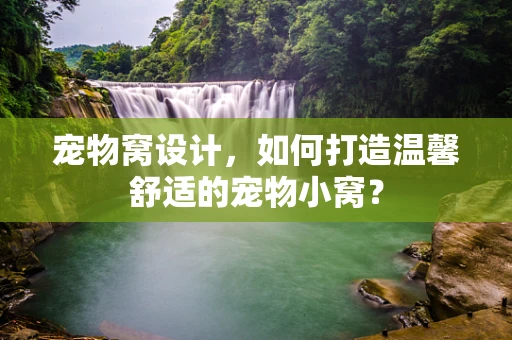 宠物窝设计，如何打造温馨舒适的宠物小窝？