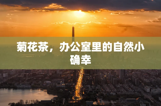 菊花茶，办公室里的自然小确幸