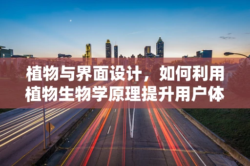 植物与界面设计，如何利用植物生物学原理提升用户体验？