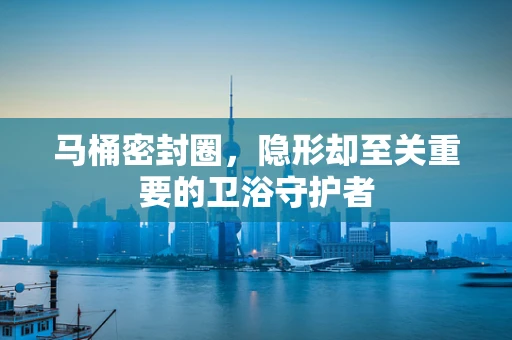 马桶密封圈，隐形却至关重要的卫浴守护者