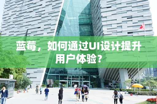 蓝莓，如何通过UI设计提升用户体验？