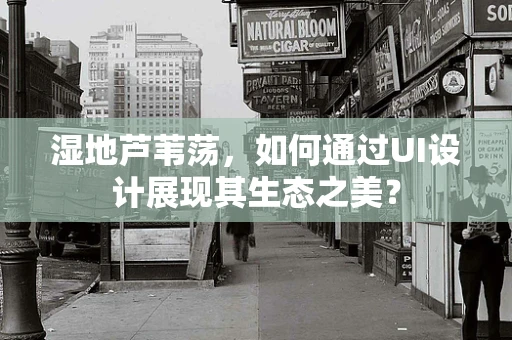 湿地芦苇荡，如何通过UI设计展现其生态之美？