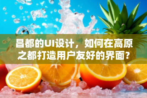 昌都的UI设计，如何在高原之都打造用户友好的界面？