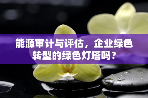 能源审计与评估，企业绿色转型的绿色灯塔吗？