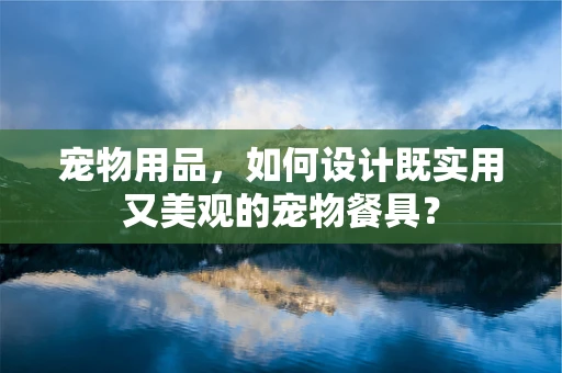 宠物用品，如何设计既实用又美观的宠物餐具？