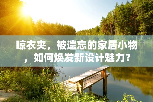 晾衣夹，被遗忘的家居小物，如何焕发新设计魅力？