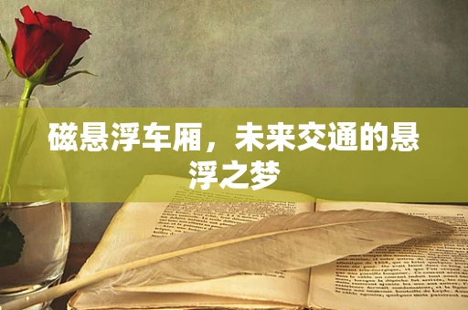 磁悬浮车厢，未来交通的悬浮之梦