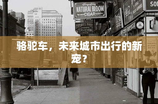骆驼车，未来城市出行的新宠？
