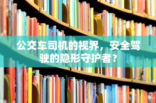 公交车司机的视界，安全驾驶的隐形守护者？