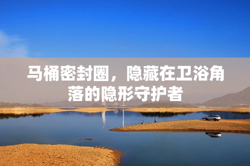 马桶密封圈，隐藏在卫浴角落的隐形守护者
