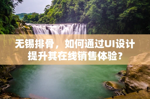 无锡排骨，如何通过UI设计提升其在线销售体验？