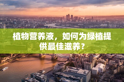 植物营养液，如何为绿植提供最佳滋养？