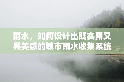雨水，如何设计出既实用又具美感的城市雨水收集系统？