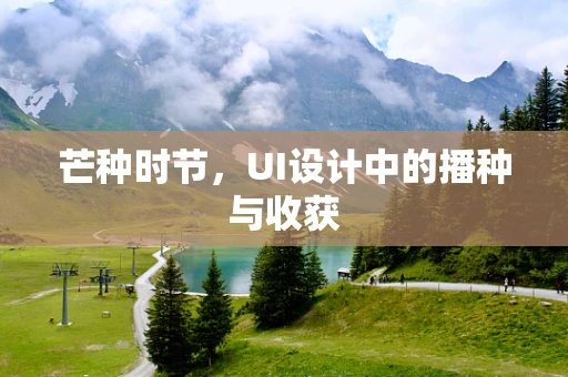 芒种时节，UI设计中的播种与收获