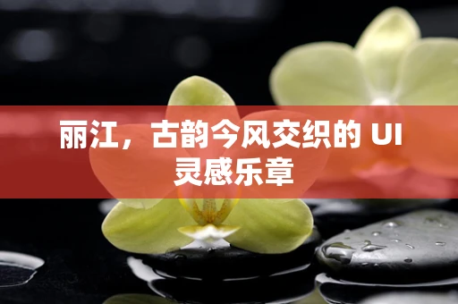 丽江，古韵今风交织的 UI 灵感乐章