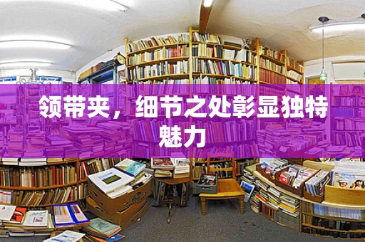 领带夹，细节之处彰显独特魅力