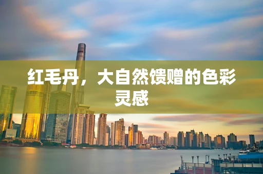 红毛丹，大自然馈赠的色彩灵感