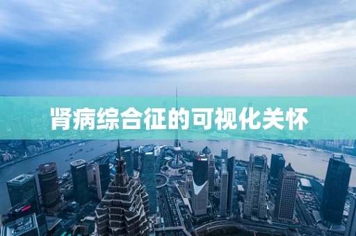 肾病综合征的可视化关怀