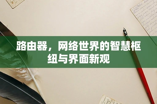 路由器，网络世界的智慧枢纽与界面新观