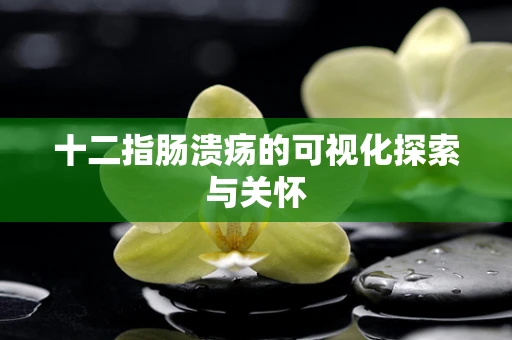 十二指肠溃疡的可视化探索与关怀